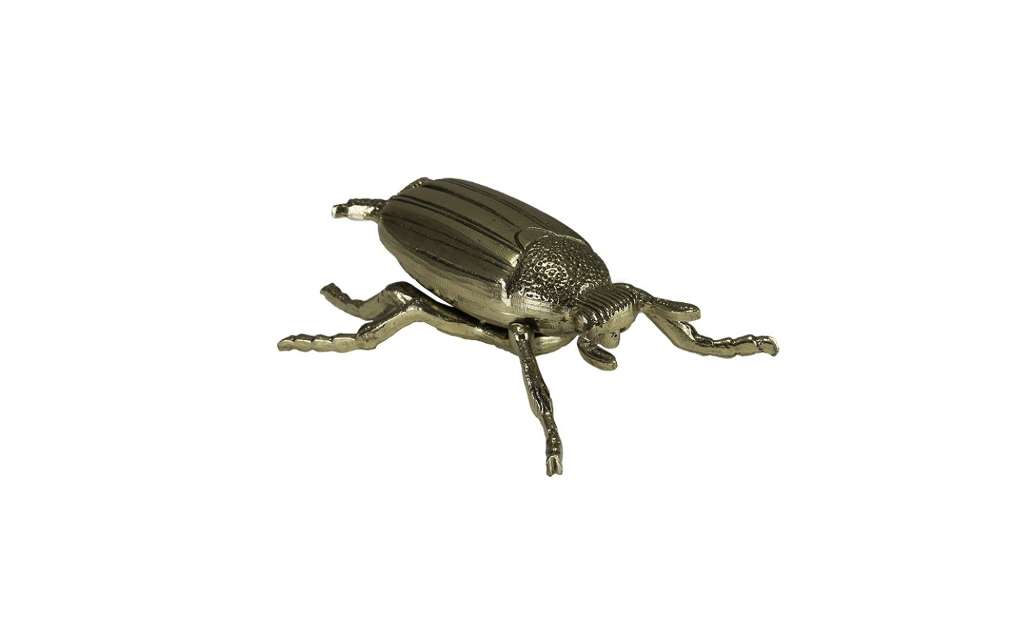 scarab-01.png