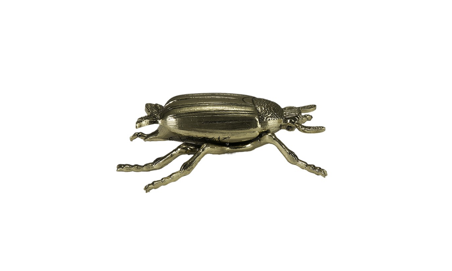 scarab-03.png