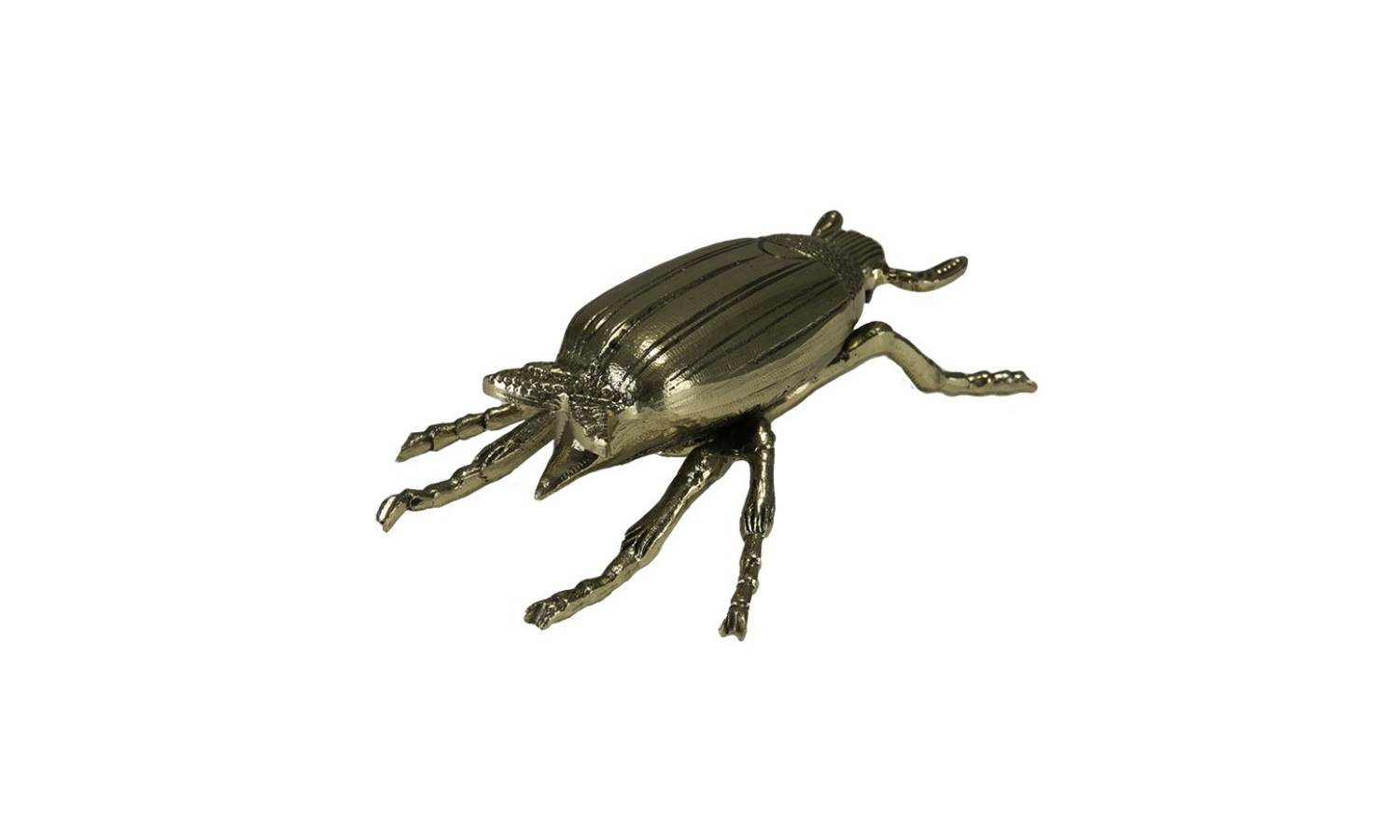 scarab-04.png