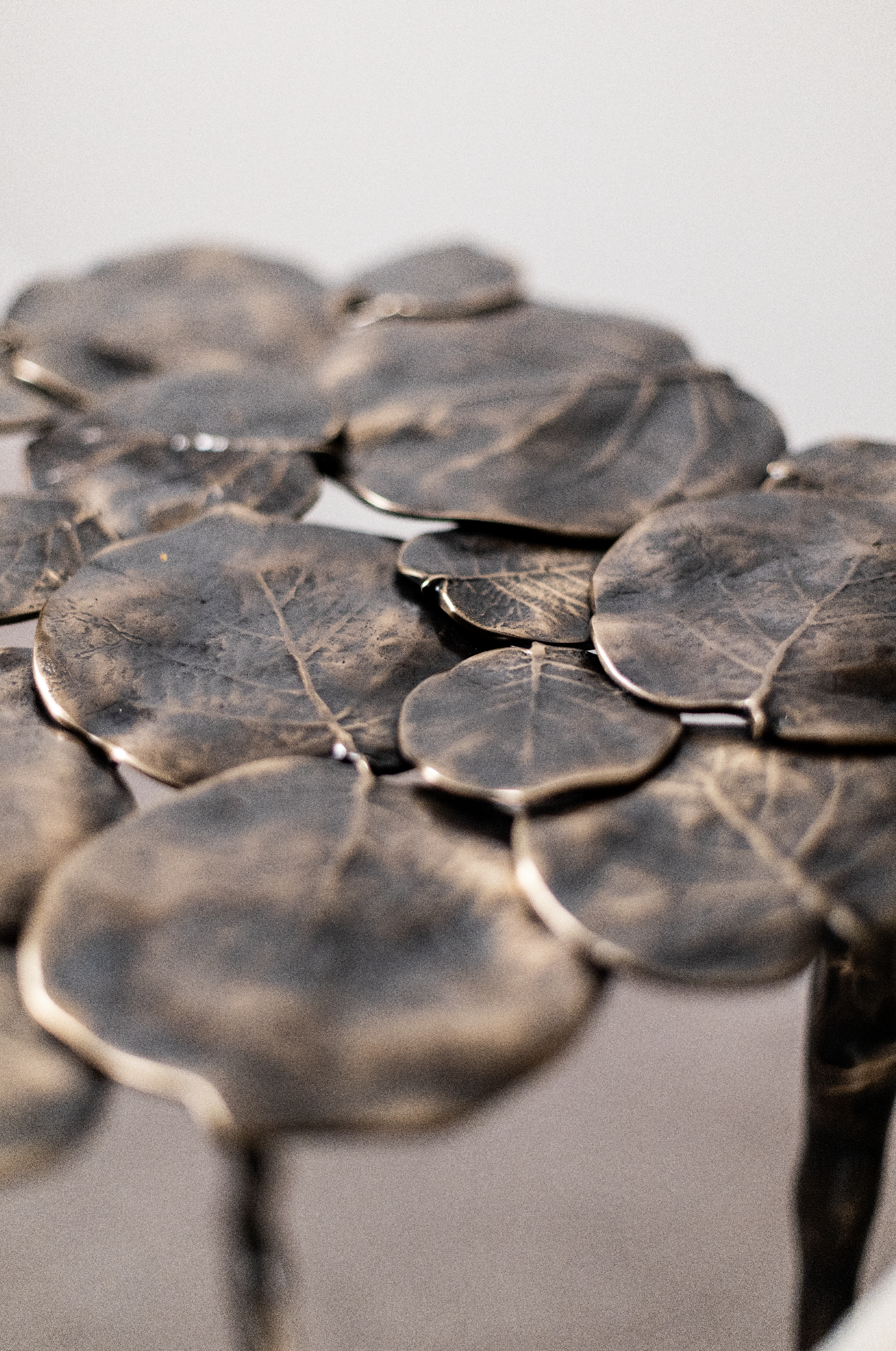 Captura de ecrã 2026-01-21, às 10.36.41.png