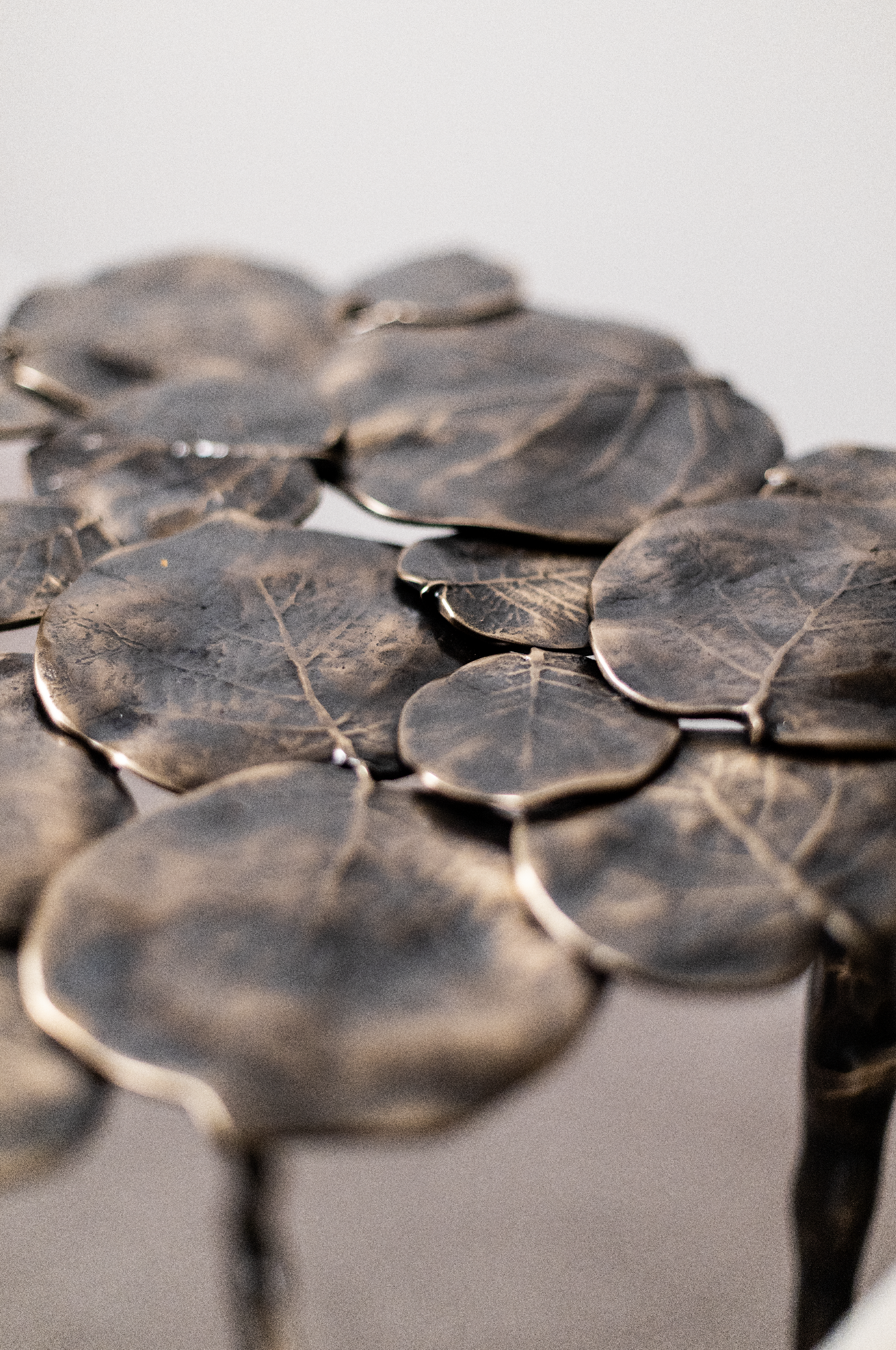 Captura de ecrã 2026-01-21, às 10.40.25.png